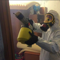 Уничтожение клопов в квартире. Миньяр